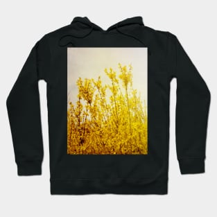 Sun Kissed Yellow Flowers Hoodie